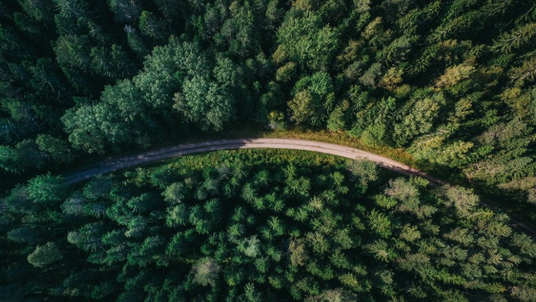 Top view of a road in the middle of the forest.
